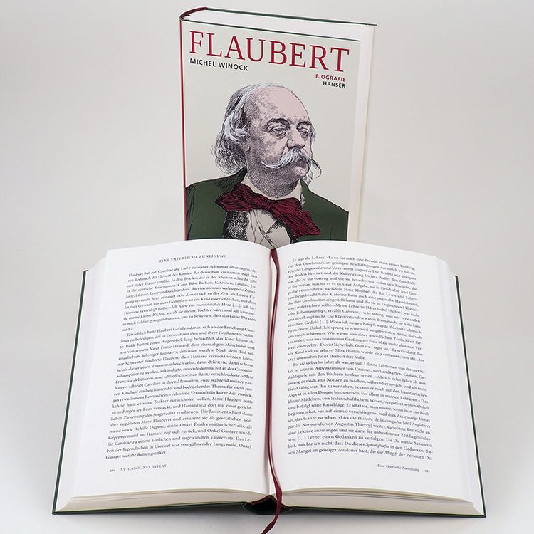 Produktbild: Flaubert
