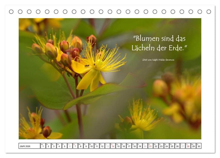 Produktbild: Zitate - Sammlung (Tischkalender 2026 DIN A5 quer), CALVENDO Monatskalender