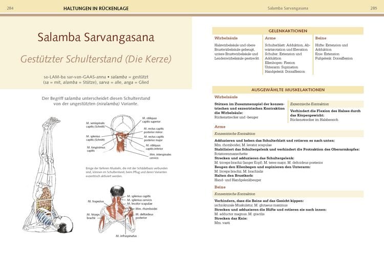 Produktbild: Yoga-Anatomie