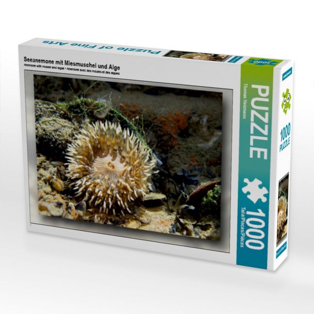 Produktbild: CALVENDO Puzzle Seeanemone mit Miesmuschel und Alge | 1000 Teile Lege-Gr&ouml;&szlig;e 64x48cm Foto-Puzzle f&uuml;r gl&uuml;ckliche Stunden