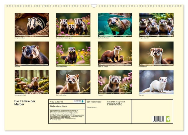 Produktbild: Die Familie der Marder (Wandkalender 2026 DIN A2 quer), CALVENDO Monatskalender
