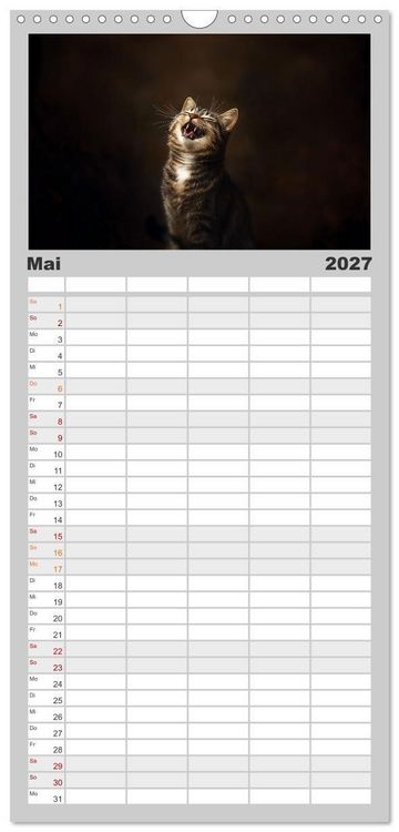 Produktbild: Familienplaner 2027 - Auch Katzen lachen gern mit 5 Spalten (Wandkalender, 21 x 45 cm) CALVENDO