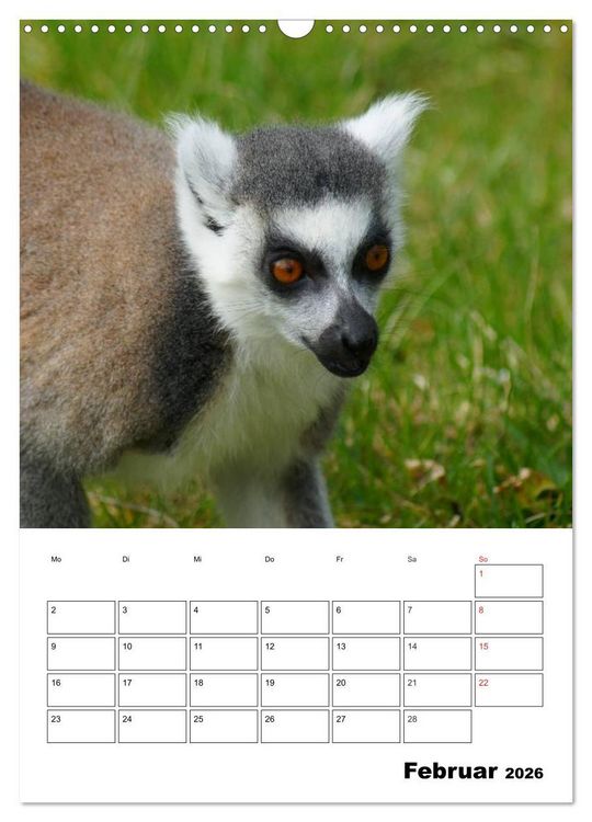 Produktbild: Katta Terminplaner (Wandkalender 2026 DIN A3 hoch), CALVENDO Monatskalender
