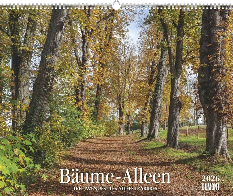 Produktbild: Bäume – Alleen 2026 – Wandkalender 52 x 42,5 cm – Spiralbindung