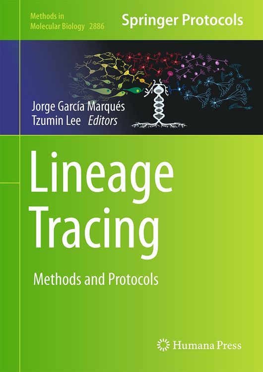 Produktbild: Lineage Tracing