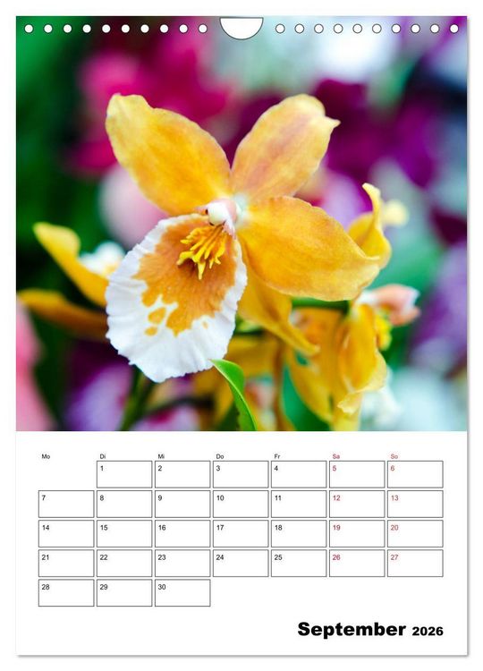 Produktbild: Orchideen - Tropische Sch&ouml;nheiten (Wandkalender 2026 DIN A4 hoch), CALVENDO Monatskalender