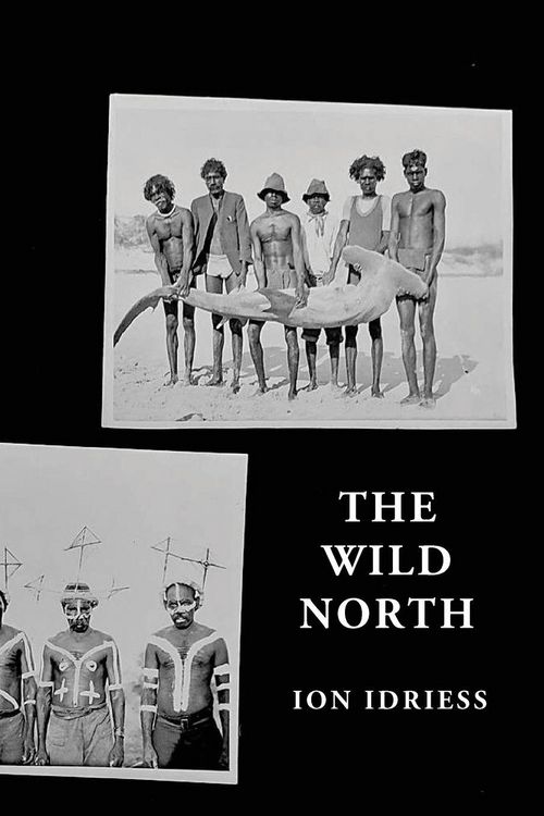 Produktbild: The Wild North