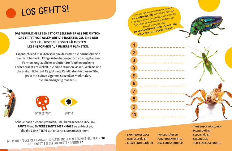 Produktbild: Top Ten die seltsamsten Insekten
