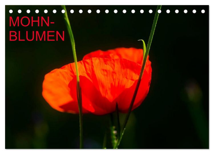 Produktbild: Mohnblumen (Tischkalender 2026 DIN A5 quer), CALVENDO Monatskalender
