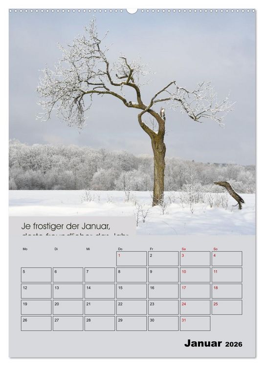 Produktbild: Wetter-Regeln der Bauern (hochwertiger Premium Wandkalender 2026 DIN A2 hoch), Kunstdruck in Hochglanz