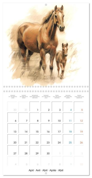 Produktbild: &Eacute;l&eacute;gance &eacute;quine (Calendrier mural carr&eacute; 2026 30x30 cm) Calendrier double avec une page pour vos prises de notes