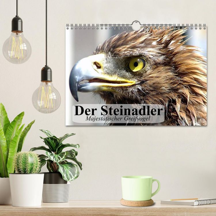Produktbild: Der Steinadler. Majest&auml;tischer Greifvogel (Wandkalender 2026 DIN A4 quer), CALVENDO Monatskalender