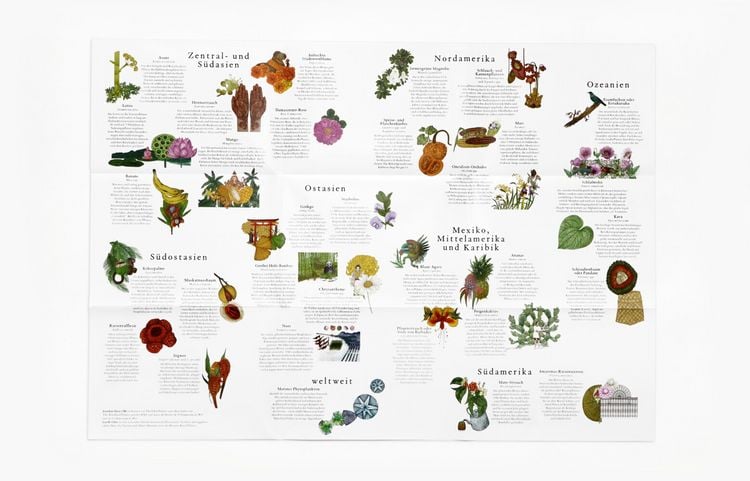 Produktbild: In 50 Pflanzen um die Welt