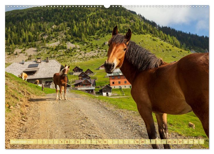 Produktbild: Die Feistritzer Alm - Wandern in den K&auml;rntner Bergen (hochwertiger Premium Wandkalender 2026 DIN A2 quer), Kunstdruck in Hochglanz