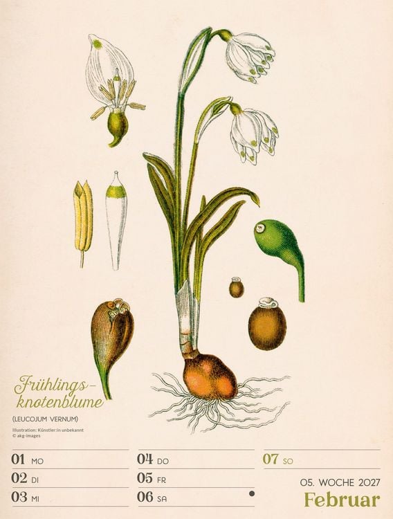 Produktbild: Ars Floralis Wochenplaner Kalender 2027