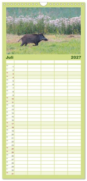 Produktbild: Familienplaner 2027 - Wildschweine &ndash; Wildlife Fotografien mit 5 Spalten (Wandkalender, 21 x 45 cm) CALVENDO