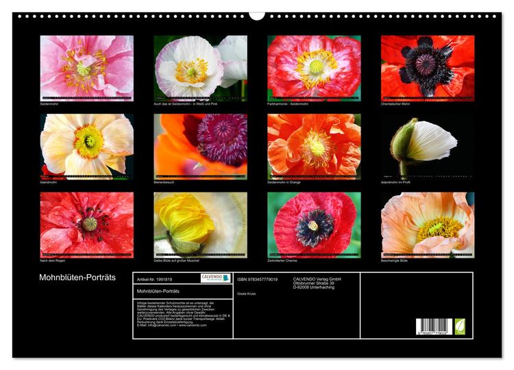 Produktbild: Mohnbl&uuml;ten-Portr&auml;ts (Wandkalender 2026 DIN A2 quer), CALVENDO Monatskalender