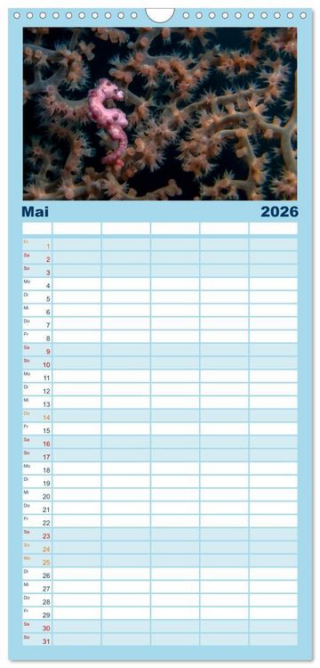 Produktbild: Familienplaner 2026 - Hippocampus oder einfach nur Seepferdchen mit 5 Spalten (Wandkalender, 21 x 45 cm) CALVENDO