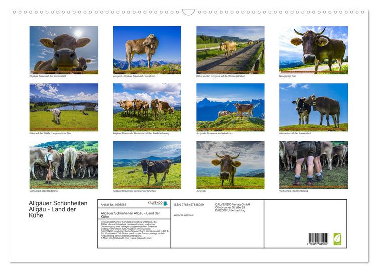 Produktbild: Allg&auml;uer Sch&ouml;nheiten Allg&auml;u - Land der K&uuml;he (Wandkalender 2026 DIN A2 quer), CALVENDO Monatskalender