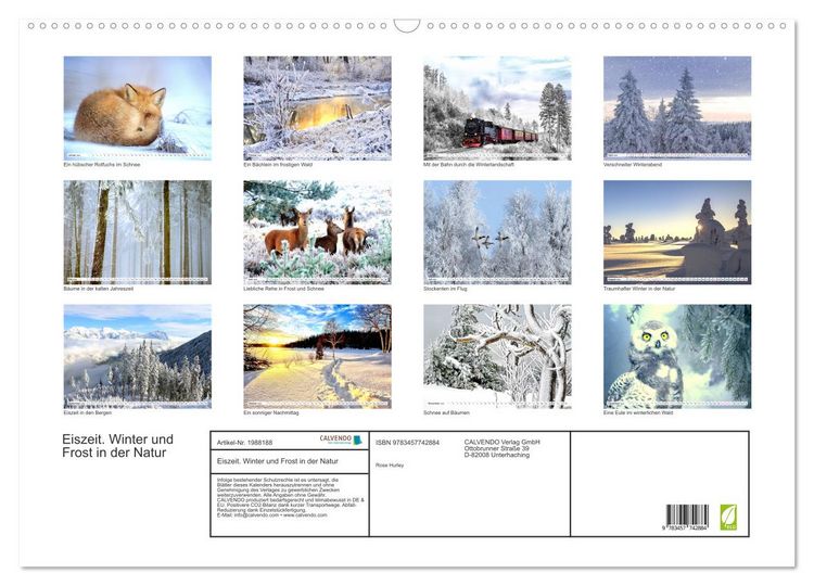 Produktbild: Eiszeit. Winter und Frost in der Natur (Wandkalender 2026 DIN A2 quer), CALVENDO Monatskalender