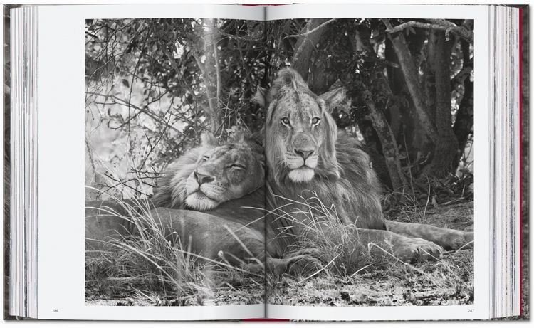 Produktbild: Sebasti&atilde;o Salgado