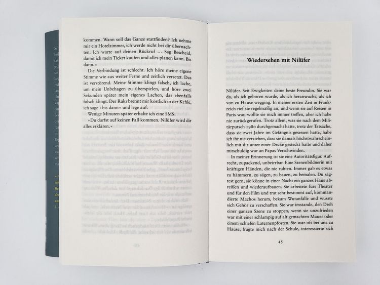 Produktbild: All die Frauen, die du warst