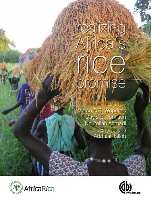 Produktbild: Realizing Africa's Rice Promise