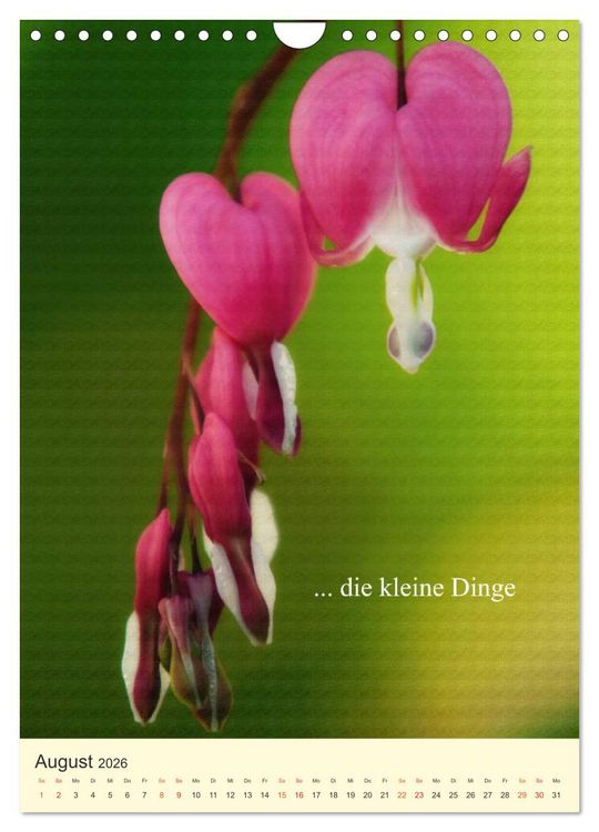 Produktbild: flowers (Wandkalender 2026 DIN A4 hoch), CALVENDO Monatskalender