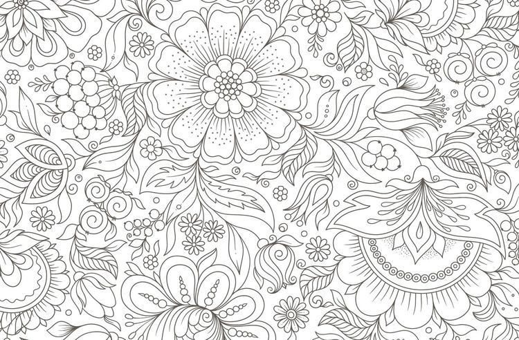 Produktbild: Colorful Mandala &ndash; Botanischer Garten