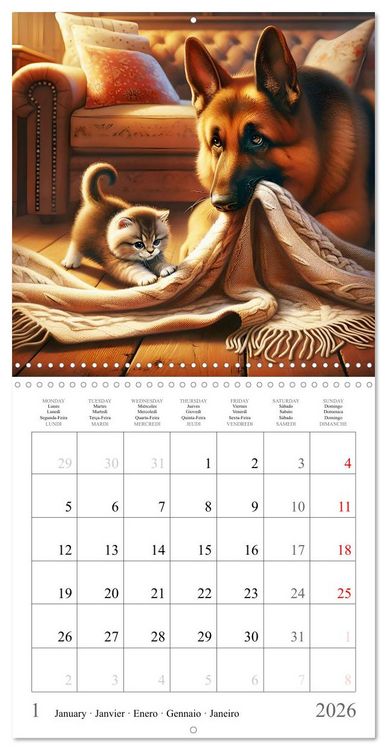 Produktbild: Des amis inhabituels (Calendrier mural carr&eacute; 2026 30x30 cm) Calendrier double avec une page pour vos prises de notes