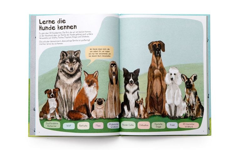 Produktbild: Das Hunde-Buch
