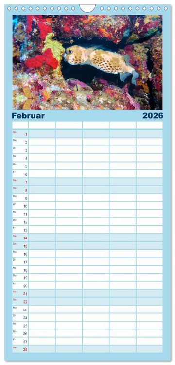 Produktbild: Familienplaner 2026 - Geheimnisvolle Welt unter Wasser - Nachts am Riff mit 5 Spalten (Wandkalender, 21 x 45 cm) CALVENDO