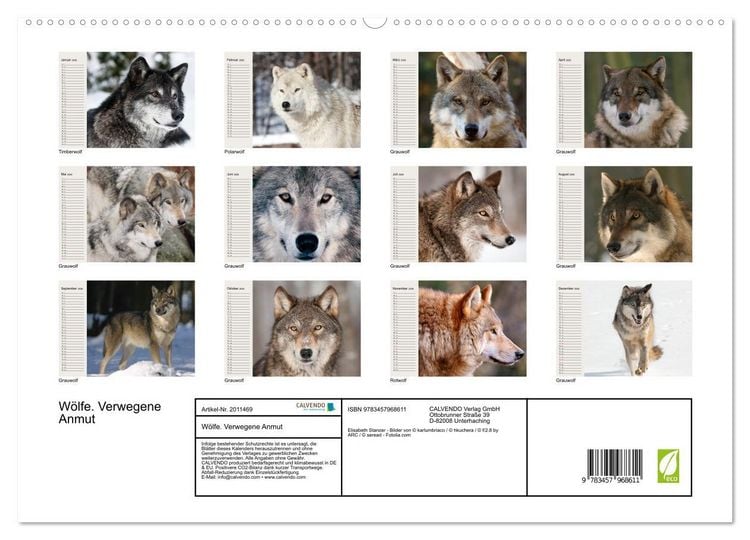 Produktbild: W&ouml;lfe. Verwegene Anmut (hochwertiger Premium Wandkalender 2026 DIN A2 quer), Kunstdruck in Hochglanz