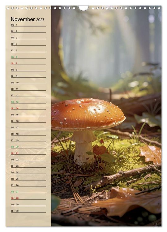 Produktbild: Pilze wie im M&auml;rchen (Wandkalender 2027 DIN A3 hoch), CALVENDO Monatskalender