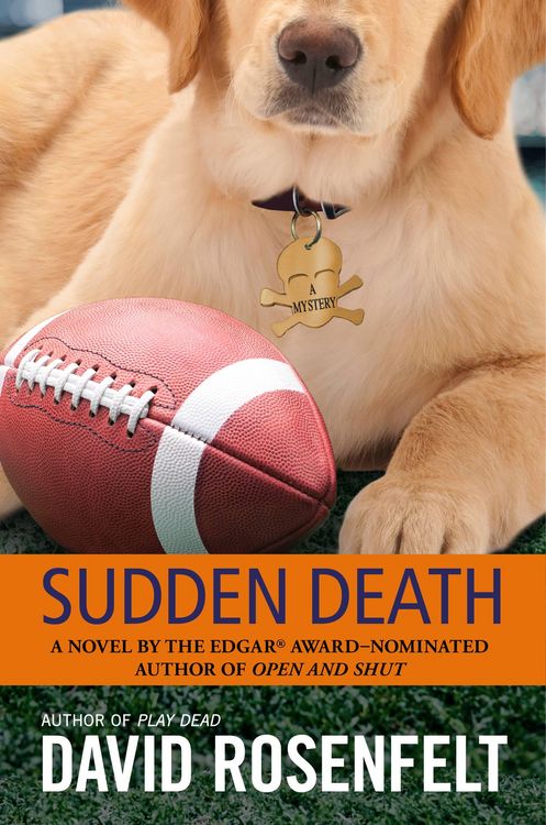 Produktbild: Sudden Death