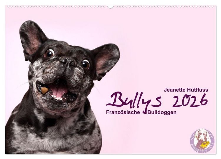 Produktbild: Bullys - Franz&ouml;sische Bulldoggen 2026 (Wandkalender 2026 DIN A2 quer), CALVENDO Monatskalender