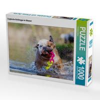 Produktbild: CALVENDO Puzzle Englische Bulldogge im Wasser | 1000 Teile Lege-Gr&ouml;&szlig;e 64x48cm Foto-Puzzle f&uuml;r gl&uuml;ckliche Stunden