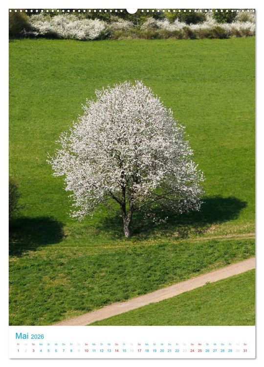 Produktbild: Sch&ouml;ne Wege laden ein (hochwertiger Premium Wandkalender 2026 DIN A2 hoch), Kunstdruck in Hochglanz