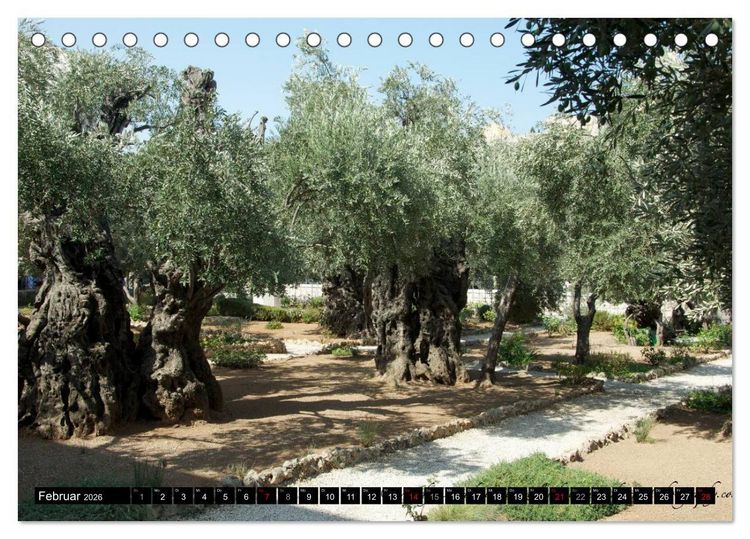 Produktbild: Israel Heute (Tischkalender 2026 DIN A5 quer), CALVENDO Monatskalender