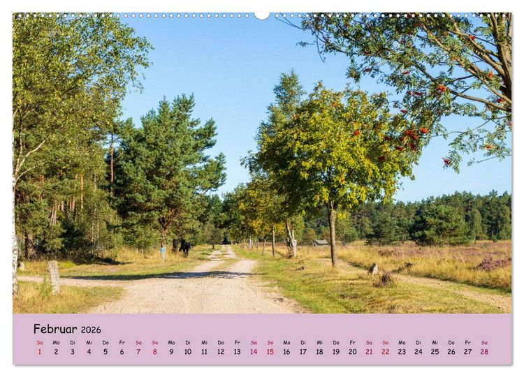 Produktbild: L&uuml;neburger Heide Wege (Wandkalender 2026 DIN A2 quer), CALVENDO Monatskalender