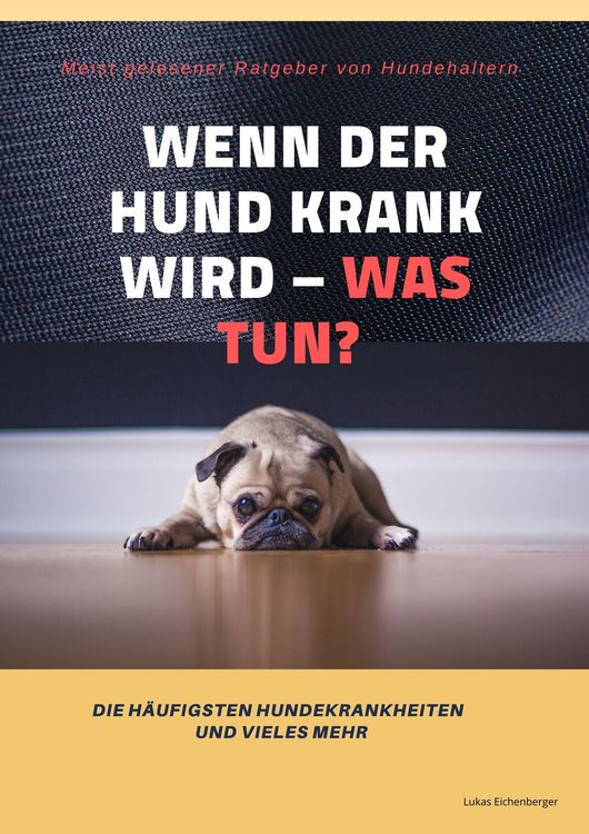 Produktbild: Wenn der Hund krank wird - was tun?