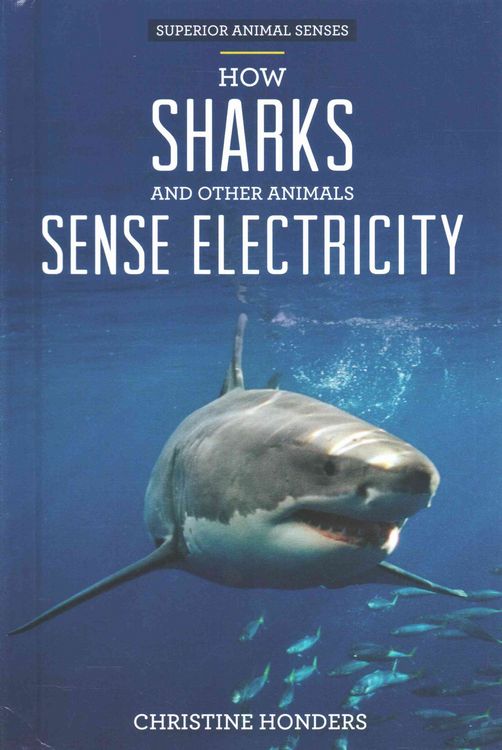 Produktbild: How Sharks & Other Animals Sen