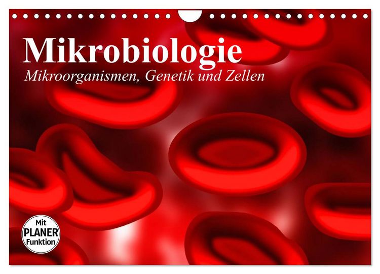 Produktbild: Mikrobiologie. Mikroorganismen, Genetik und Zellen (Wandkalender 2026 DIN A4 quer), CALVENDO Monatskalender