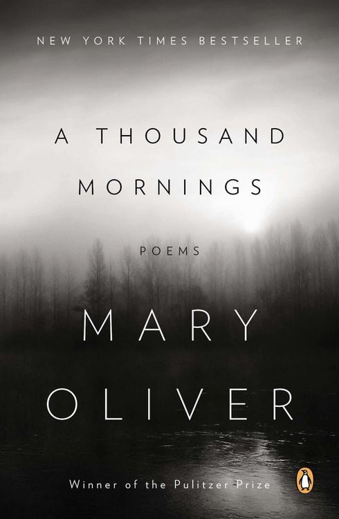 Produktbild: A Thousand Mornings