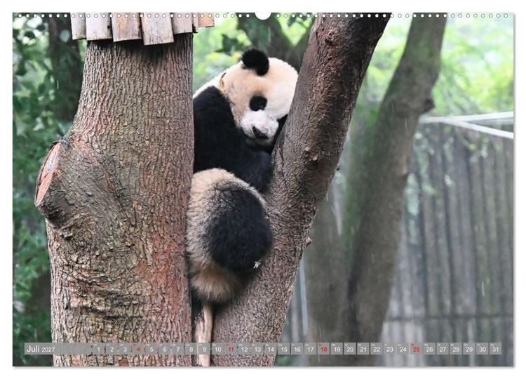Produktbild: Erlebnis China (Wandkalender 2027 DIN A2 quer), CALVENDO Monatskalender