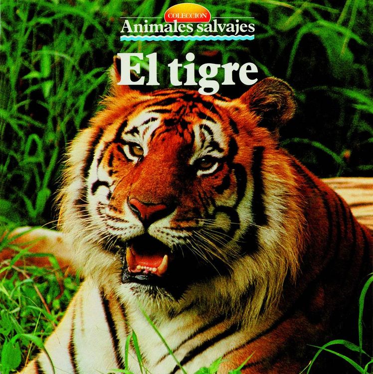 Produktbild: El tigre
