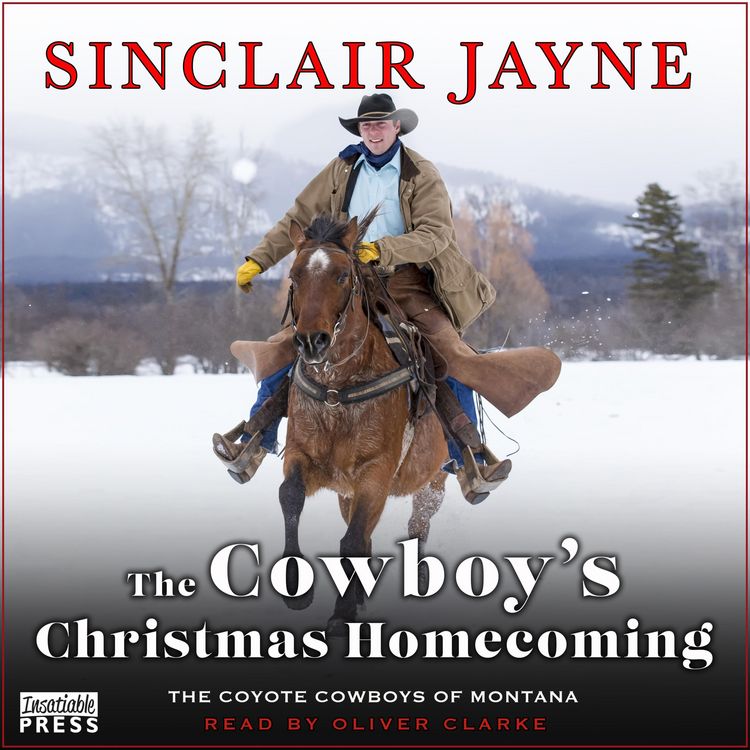 Produktbild: The Cowboy's Christmas Homecoming