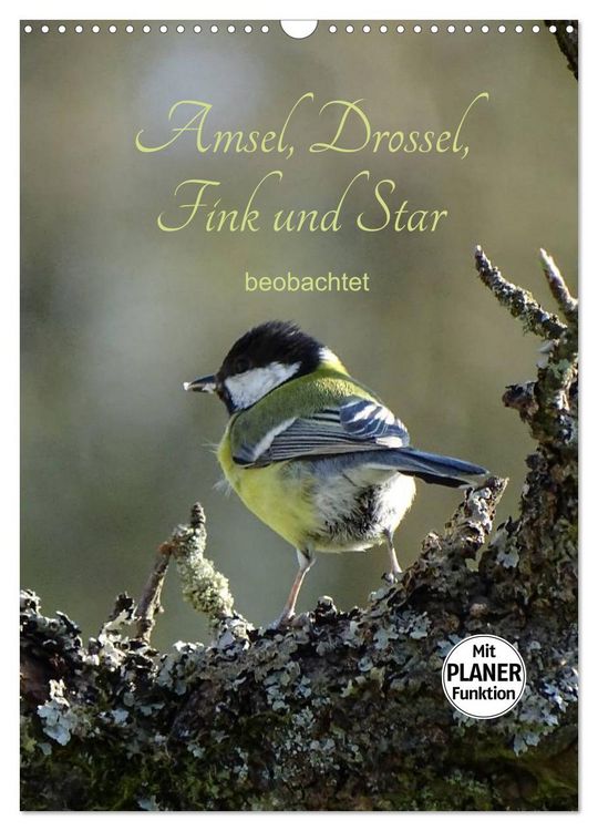 Produktbild: Amsel, Drossel, Fink und Star - beobachtet (Wandkalender 2026 DIN A3 hoch), CALVENDO Monatskalender