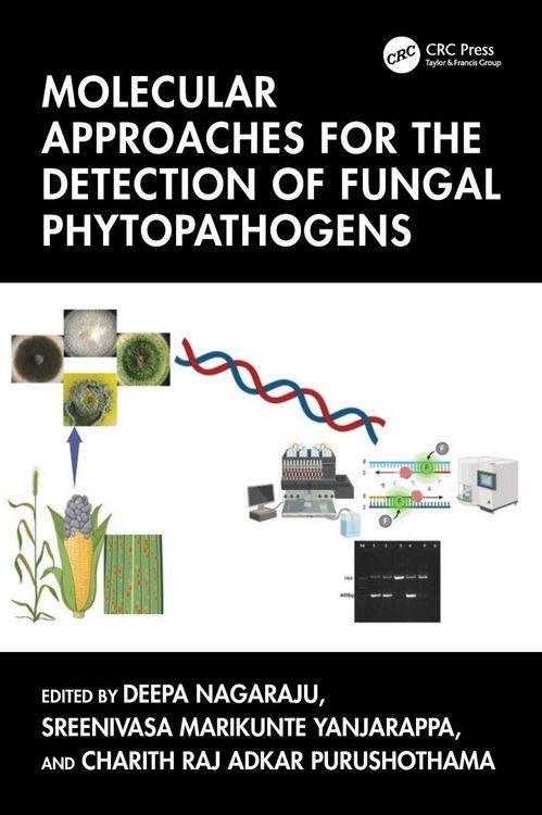 Produktbild: Molecular Approaches for the Detection of Fungal Phytopathogens