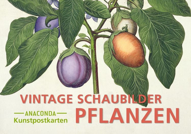 Produktbild: Postkarten-Set Vintage-Schaubilder Pflanzen
